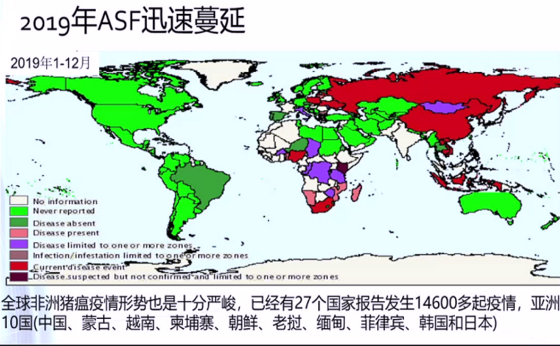 1597653172819540.jpg 04-2.jpg