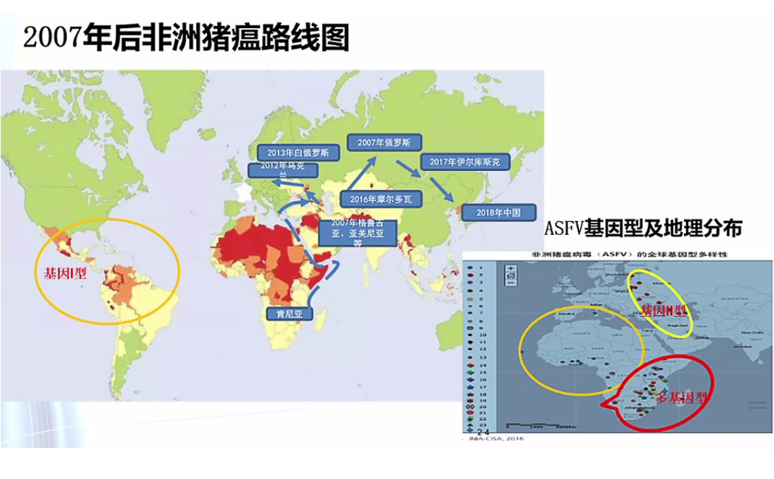 1597653188101258.jpg 04-3.jpg